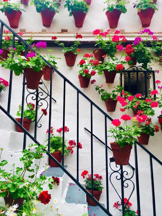 Ribera Del Quivir Cordoba Exterior photo